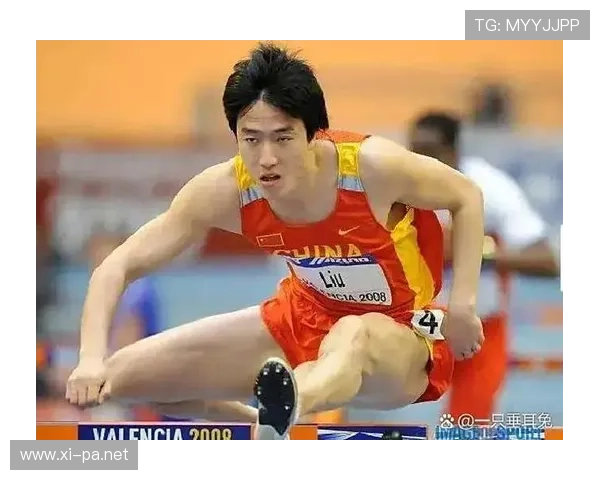 刘翔当年退赛那天，银行卡里刚打进九位数